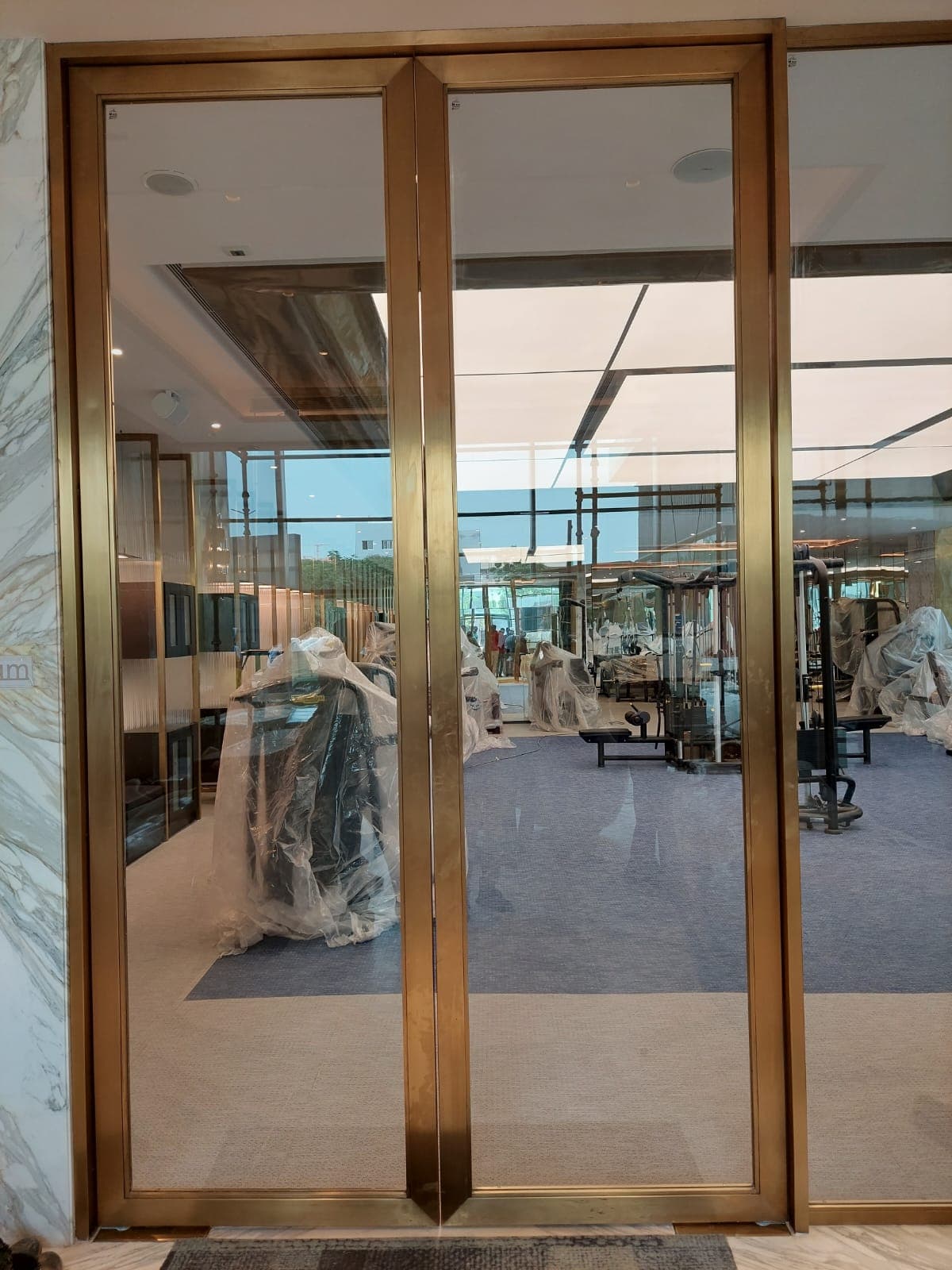 Luxury PVD Gold Stainless Steel Glass Door (Swing Type)